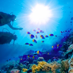 Scuba diving experience