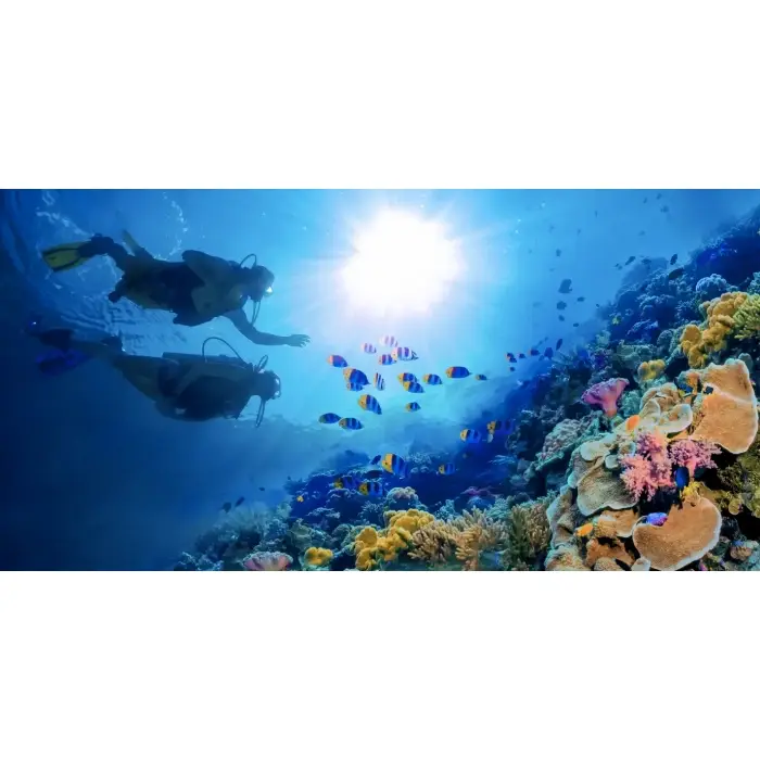 Scuba diving experience